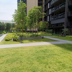 Tembusu Grand (D15), Condominium #550988881